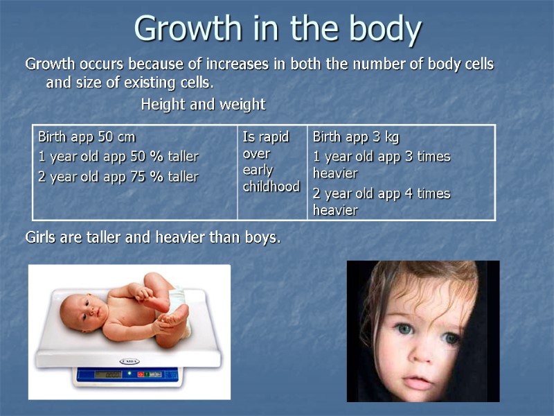 Growth in the body Growth occurs because of increases in both the number of